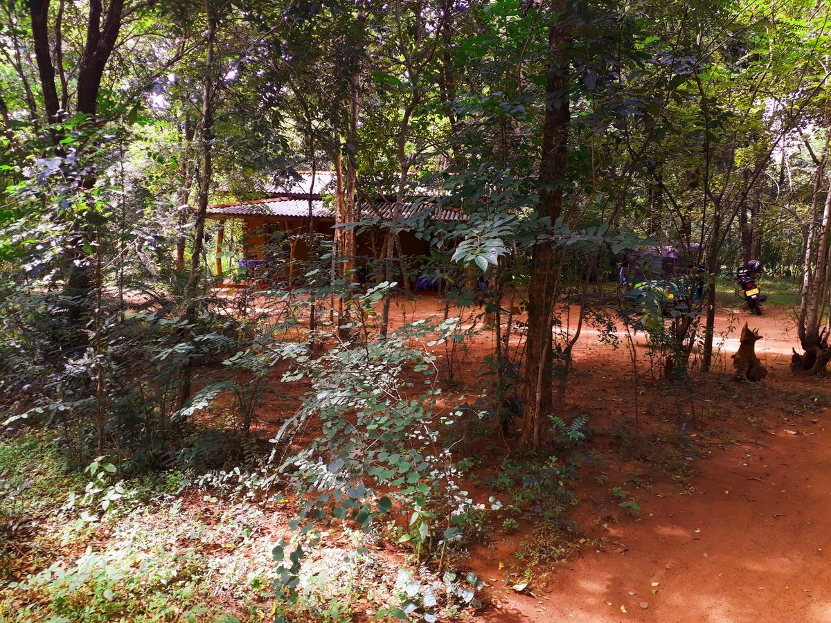 Aralu Habarana Resort Exterior foto