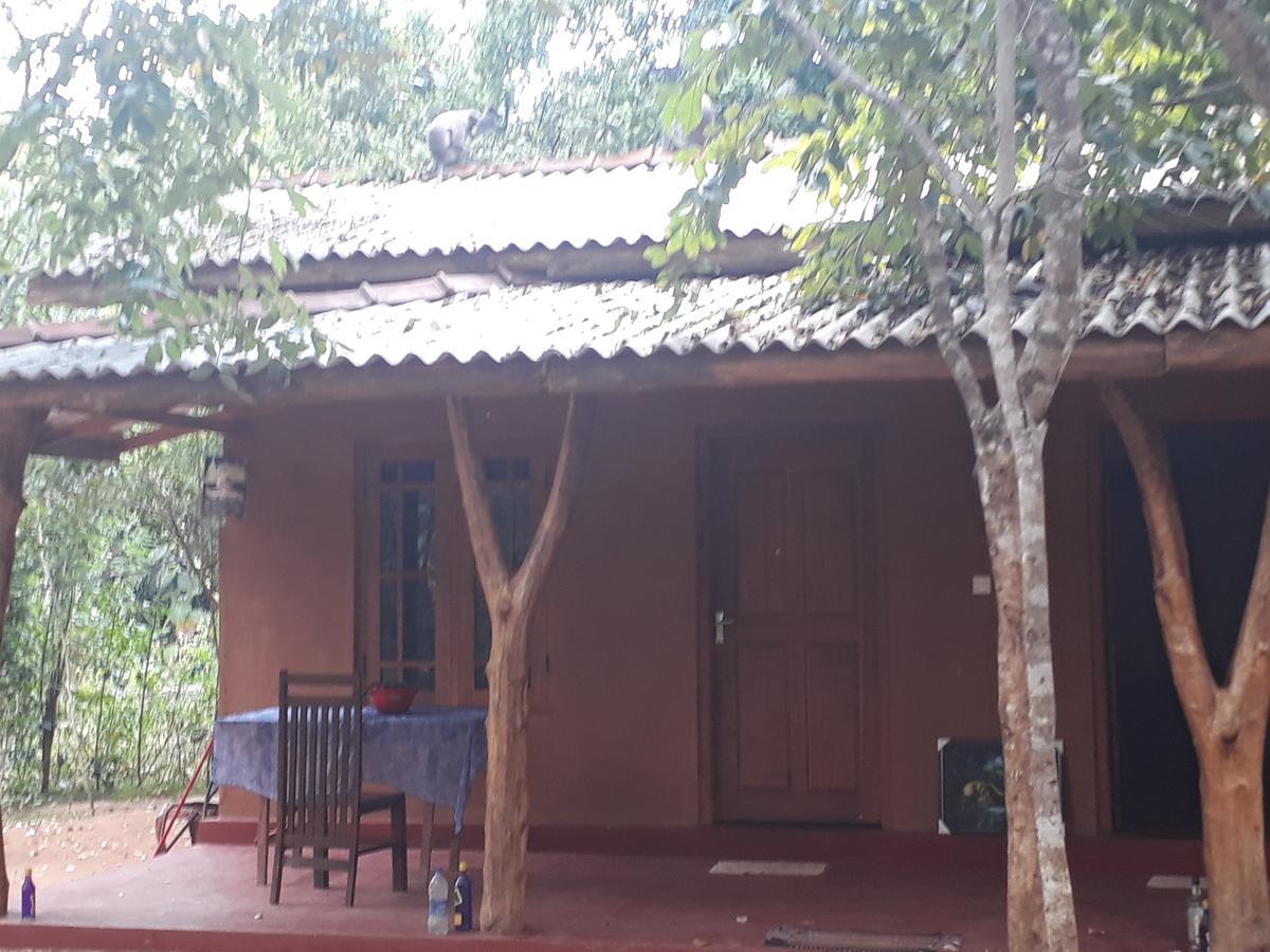 Aralu Habarana Resort Exterior foto